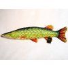 Štika obecná  - 80 cm polštářek
