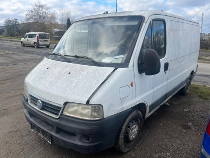 ducato 1