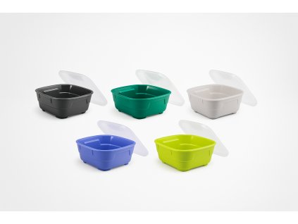 Goodbowl tiny