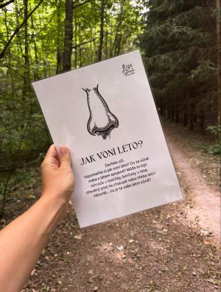 Letní Svatojánská stezka lesem. 🌲🔥 12 stanovišť s úkoly a odměna na konci. 🧡 kam jinam se v tomto horku schovat než do...