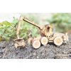 Dřevěný model harvesteru EcoLog 590G 1:64