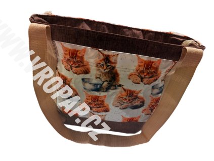 snapedit 1769521044919