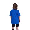 Dětské triko Fox Yth Fox Legacy Ss Tee - Blue