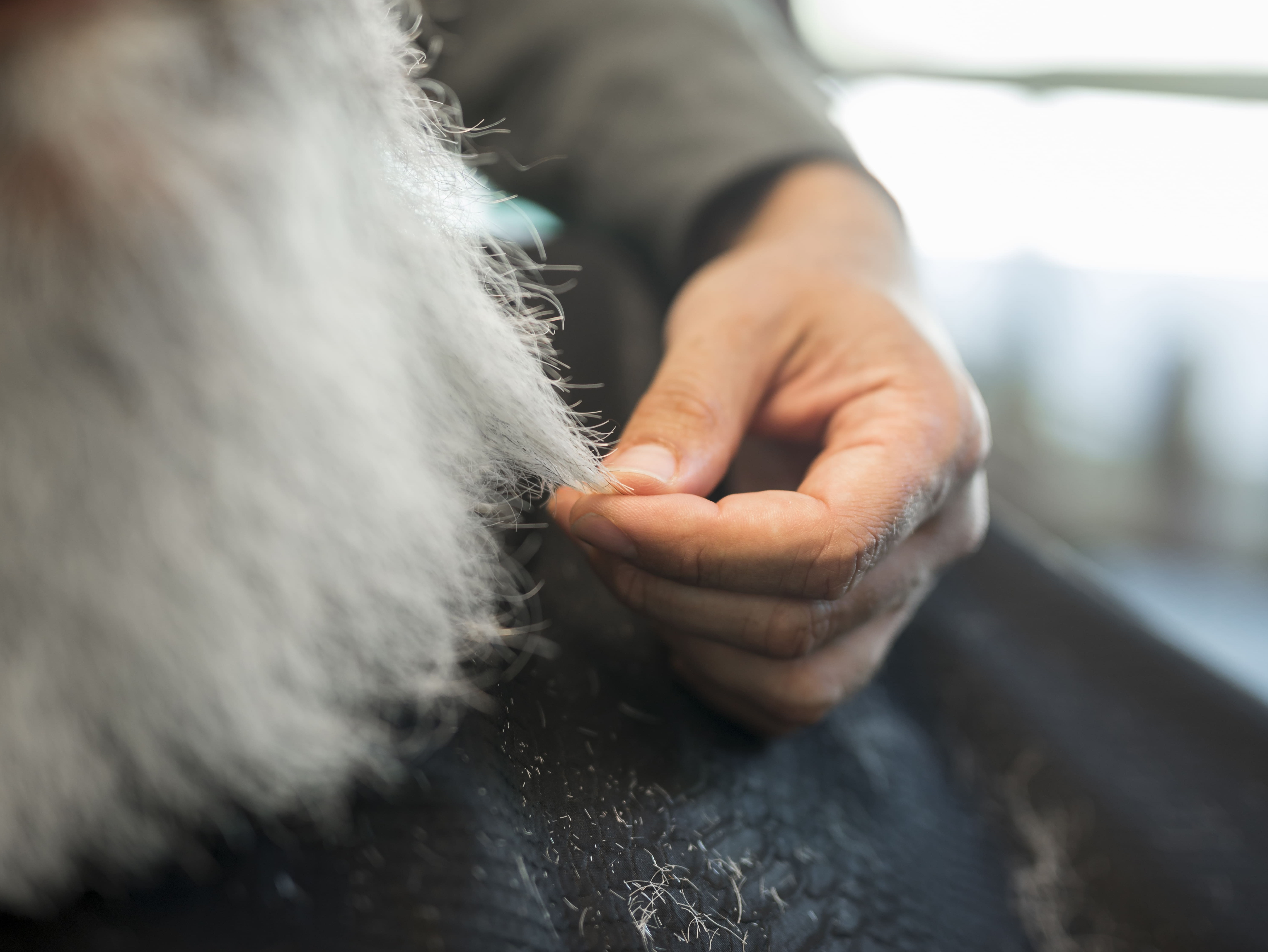 Náš TIP – FURminator
