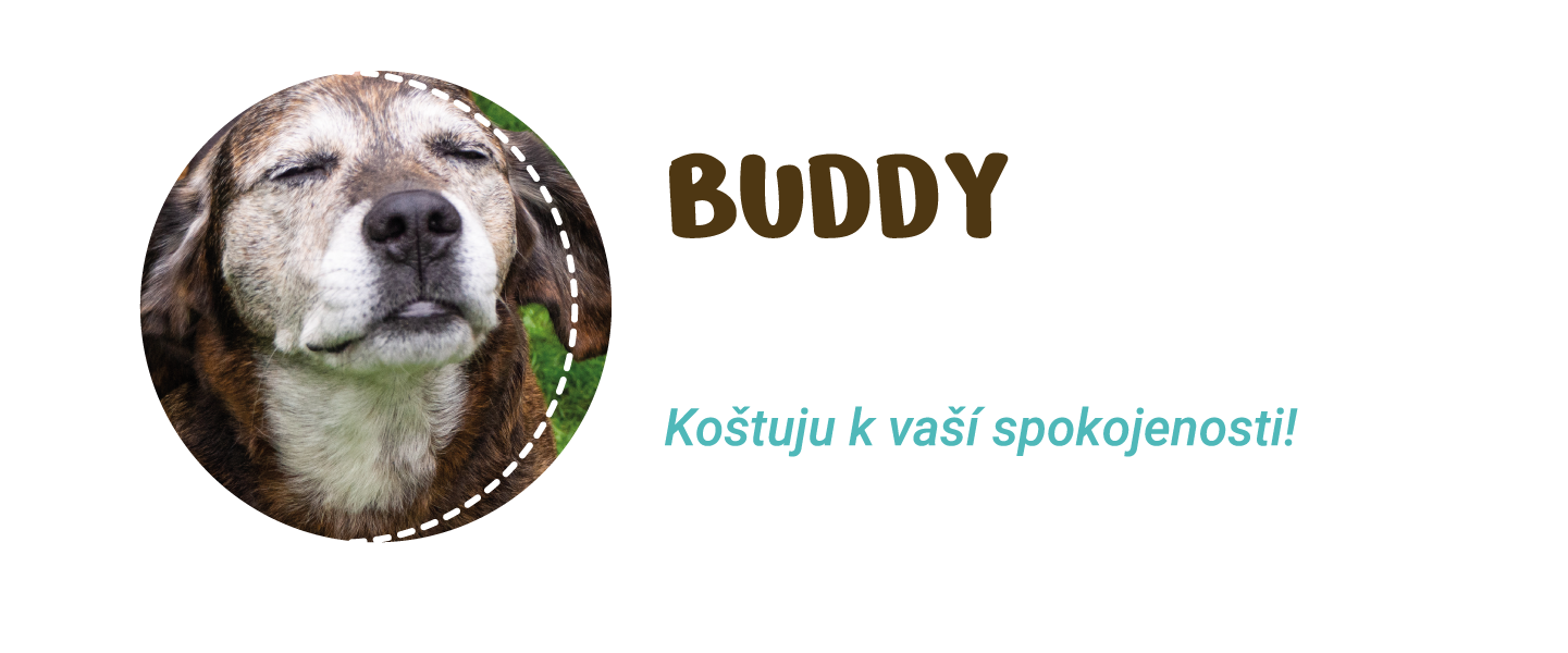 nas-tym Náš tým Buddy