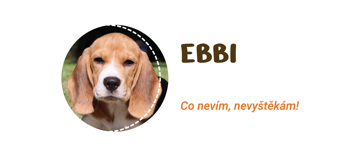 nas-tym Náš tým Ebbi