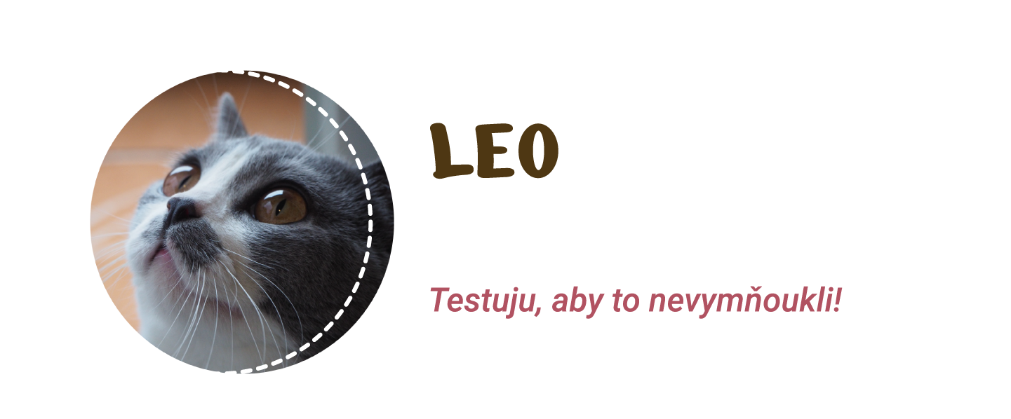 nas-tym Náš tým Leo