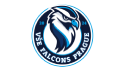VŠE Falcons Prague