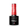 CLARESA Gel lak FLUO 4 - 5g