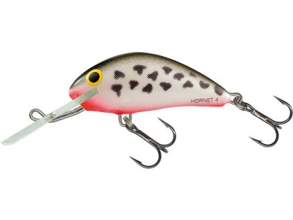 Fox Executor Shallow Runner 2"