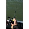 Fox Rage Terminator® Power Shad Casting Rod
