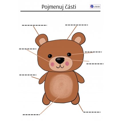Pojmenuj části těla medvídka