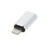 AdapterTypCeskidoLightningmskisrebrny2