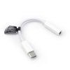 AdapterAUXTypCmskidoJack35mmeskiBOXbiay1