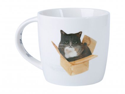 Hrnek Marc Martin Feline Friends 400 ml Cat In A Box - Maxwell&Williams  Marc Martin Feline Friends Hrnek Cat In A Box Gift porcelán 400 ml - Maxwell&Williams