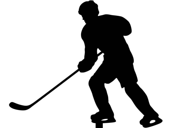 stock vector silhouette hockey player white background