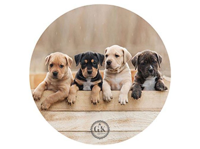 1935667 157996269375 2919598 n