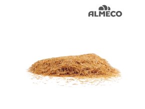 1935667 157996269375 2919598 n