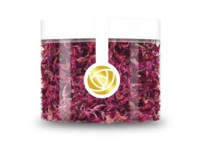 244375595 865317407683347 2781124655380038912 n