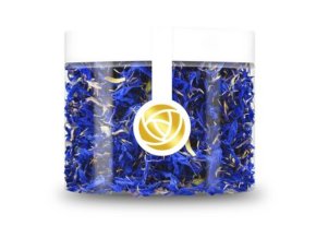 244375595 865317407683347 2781124655380038912 n