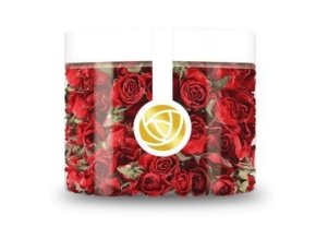 244375595 865317407683347 2781124655380038912 n