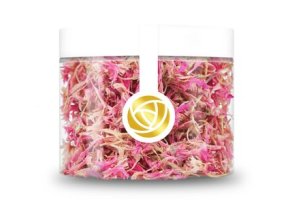 1935667 157996269375 2919598 n