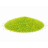 image 2026 08 19T110535.265
