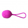 Single Kegal Balls Purple 3 18644