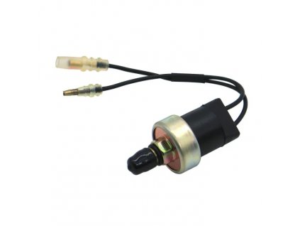 Snímek obrazovky 2024 06 05 134332