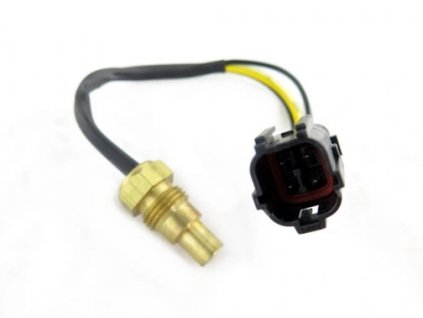 Snímek obrazovky 2024 06 11 131319