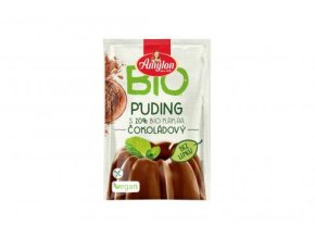 Bio Puding čokoládový Amylon 40g