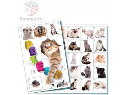 Bonaparte BONAPARTE Pexeso Kočky 32 dvojic fotografie *SPOLEČENSKÉ HRY*