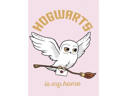 XL FLÍSOVÁ DEKA  HARRY POTTER HEDVIKA DE LUX