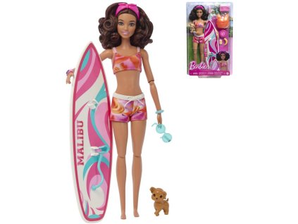 Mattel MATTEL BRB Panenka Barbie surfařka herní set s doplňky v krabici