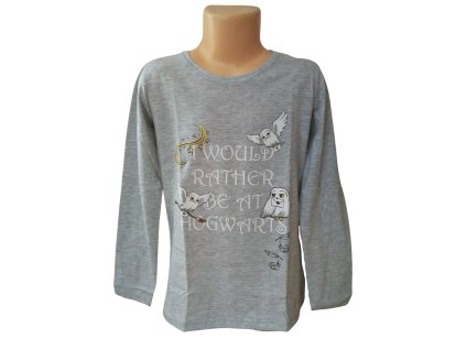 Tričko HARRY POTTER HEDVIKA dl.rukáv dívčí šedé (Barva Šedá, Velikost 134)
