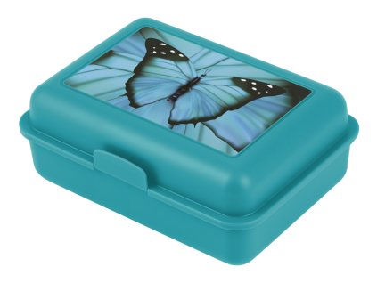 Box na svačinu BUTTERFLY modrýa 33041 tit