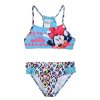PLAVKY MINNIE