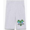 BERMUDY MINECRAFT