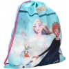 VAK FROZEN