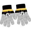 Chlapecké rukavice MICKEY prstové šedé