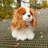 Plyšový pes king charles španěl 25 cm ECO-FRIENDLY