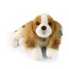 Plyšový pes kavalír king Charles španěl 40 cm ECO-FRIENDLY