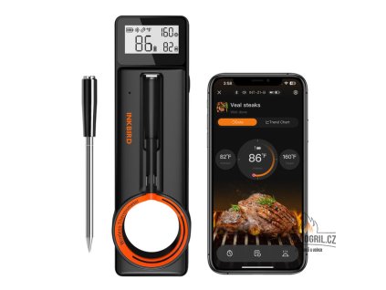 int 21 b bluetooth meat thermometer 610x610 crop center[1]