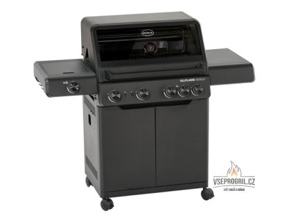cec5009d12a7872af69265573ebfe369 rosle allflame 4 hero[1]