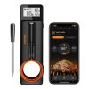 int 21 b bluetooth meat thermometer 610x610 crop center[1]