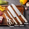 4-dílná sada kuchyňských nožů Gooda