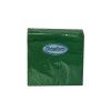 Papírové ubrousky 2vrstvé - 33x33 cm, zelené, 2000 ks