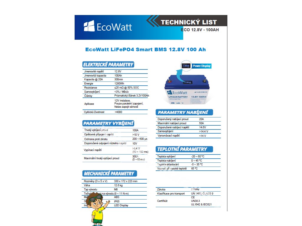 EcoWatt LiFePO4 Lithium Batterie 12.8V 100Ah SmartBMS-ohne Bluetooth-m –