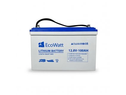 ecowatt batterie lithium led 12v 100ah 2