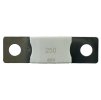 DC MEGA-pojistka 250A/80V, www.vseprokaravan.cz